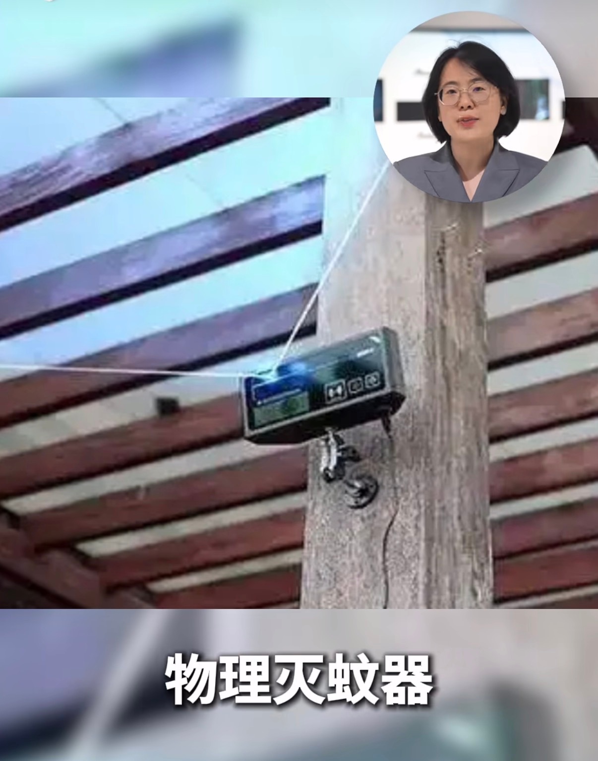 国货小家电在海外爆单国内卖吗？别都跑国外了，我们国内也苦蚊子🦟久矣