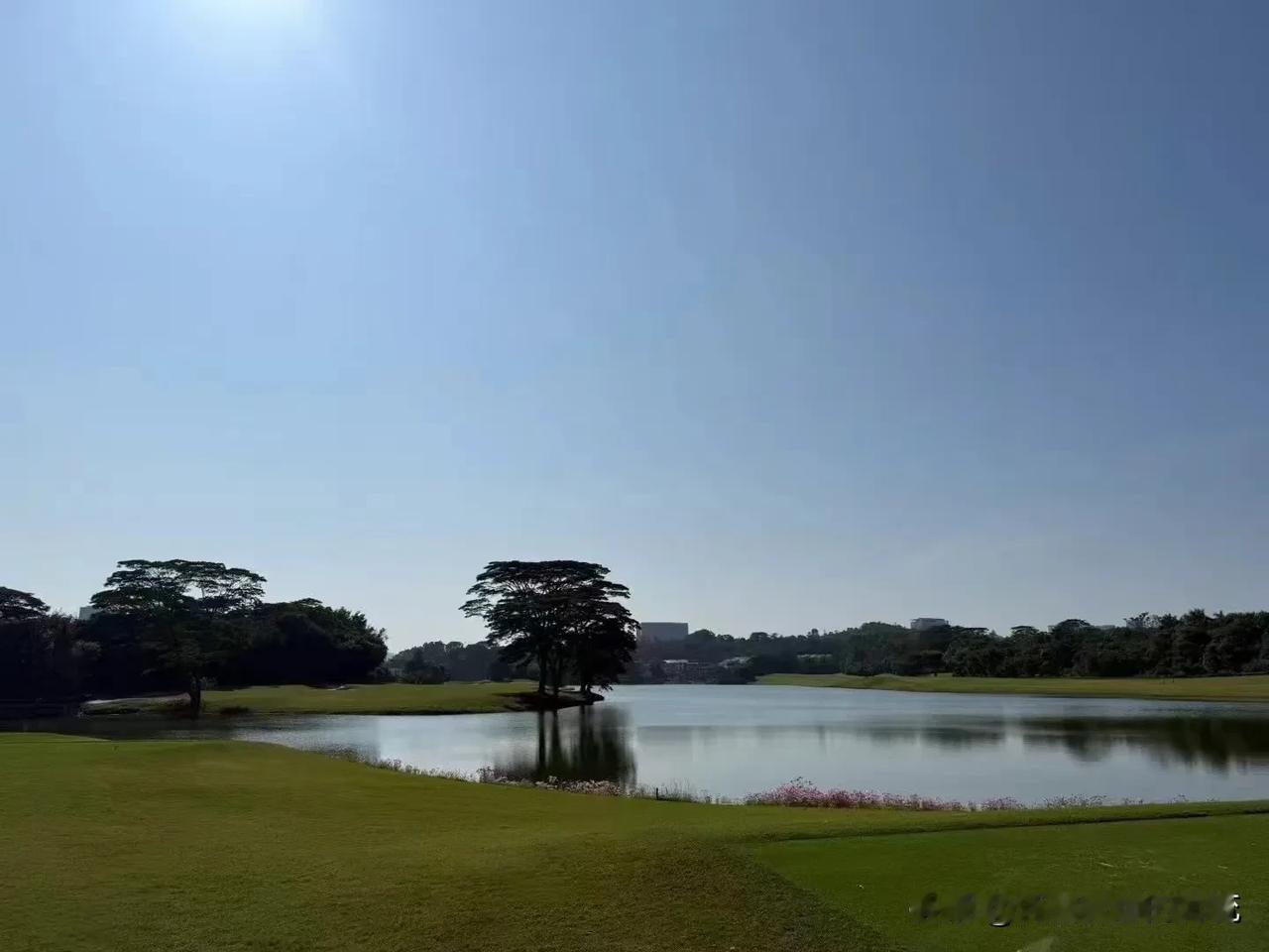 冬日生活打卡季2024，即将成为过去，迎接新的一年！