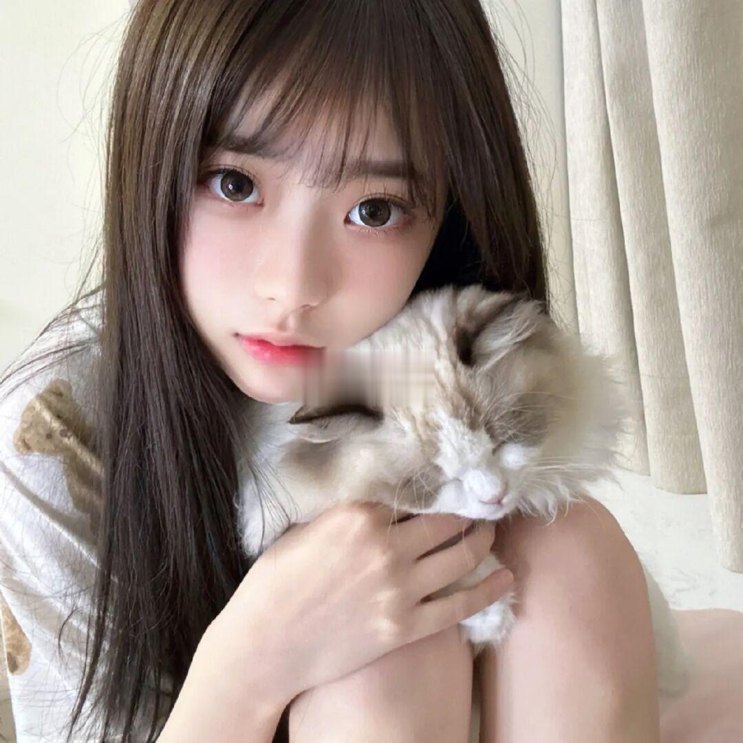 小猫在睡觉 地球在转圈