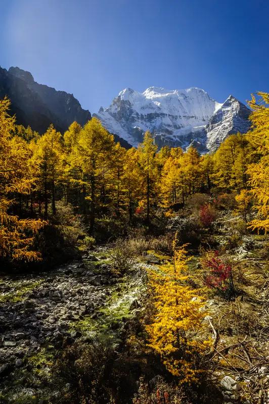 稻城亚丁不同季节各有千秋。春季（3 - 6 月），杜鹃花开，雪山未融，人少景美，