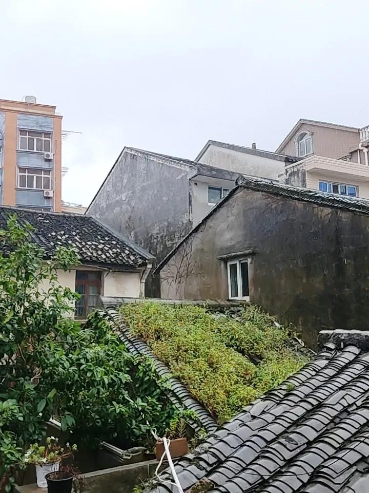 台风来临前，市民可得做好充足准备。首先要备好应急物资，像饮用水、方便食品、常用药