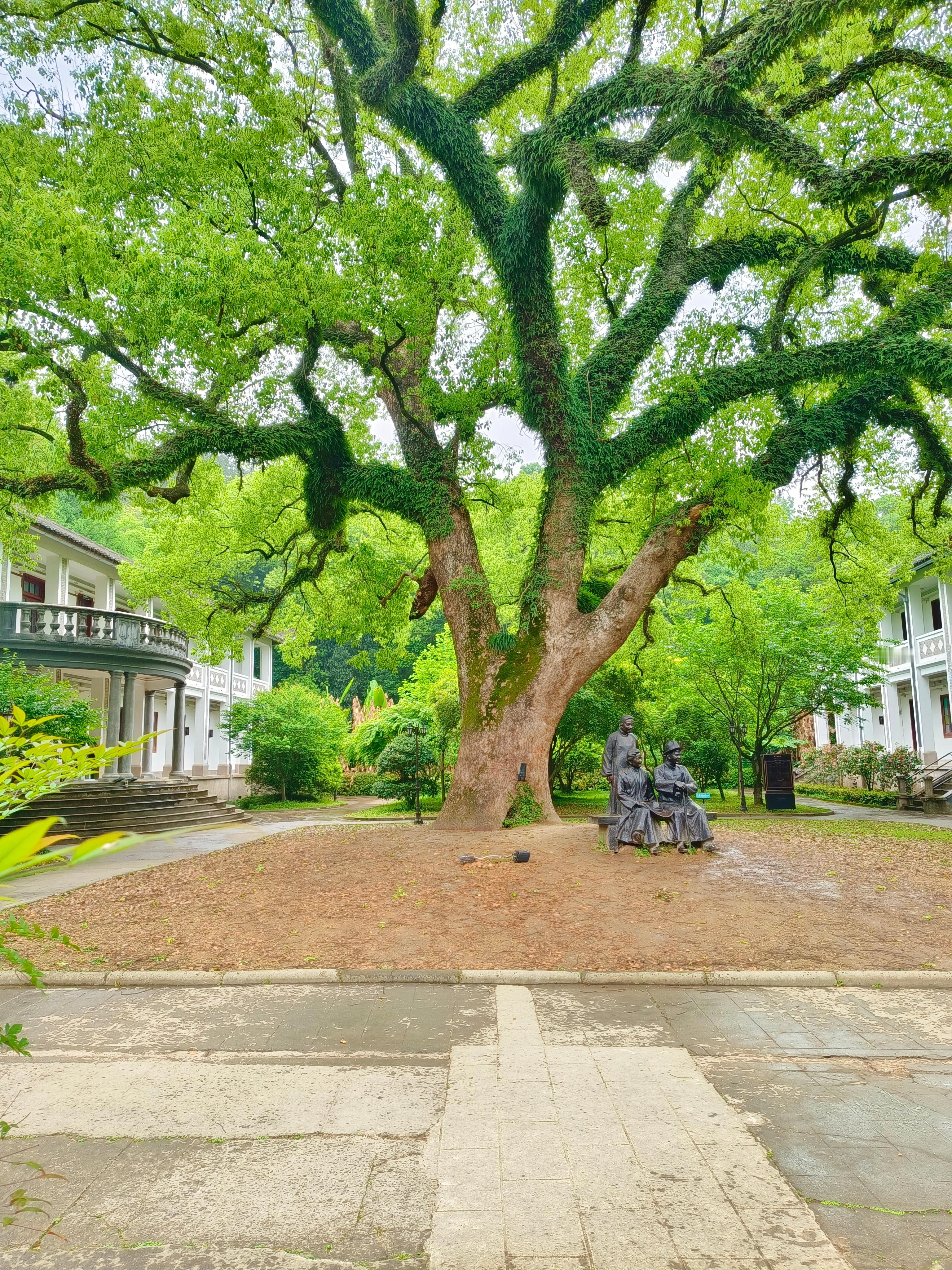 《蒋氏故居》蒋介石的一生，纵横军政、权倾一时，却始终被一缕乡愁缠绕。从浙江奉化溪