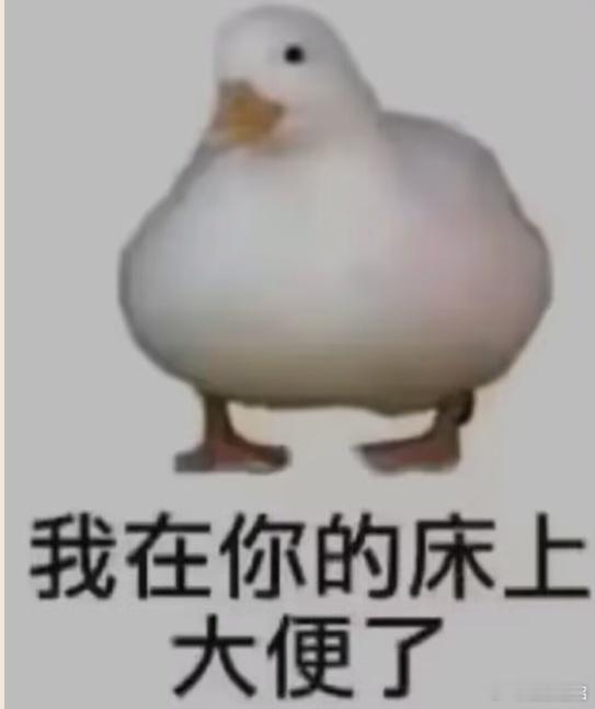 最近和我几个朋友聊天，都很喜欢用这个图贩剑，现在她们想打死我 ​​​