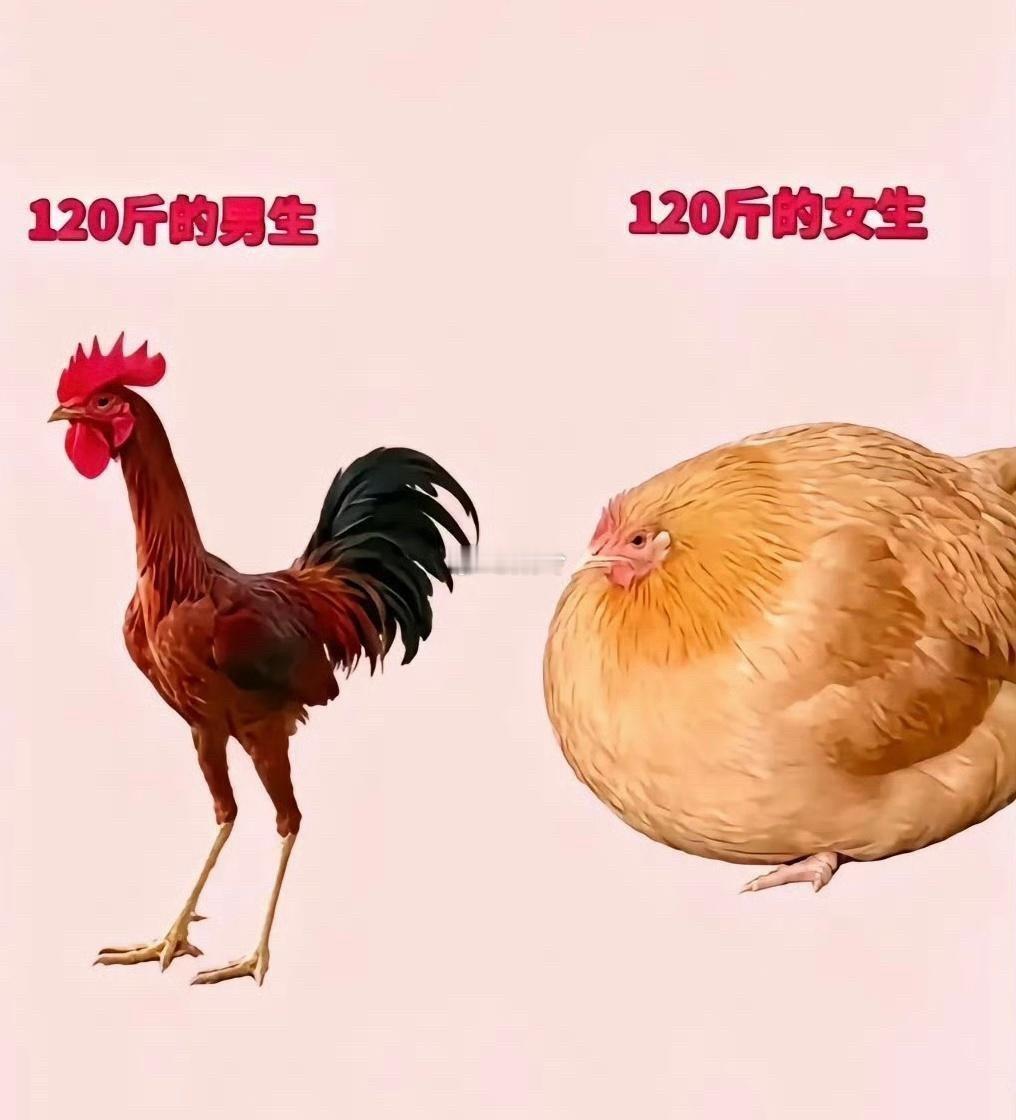 这是世界上最不公平的两件事 