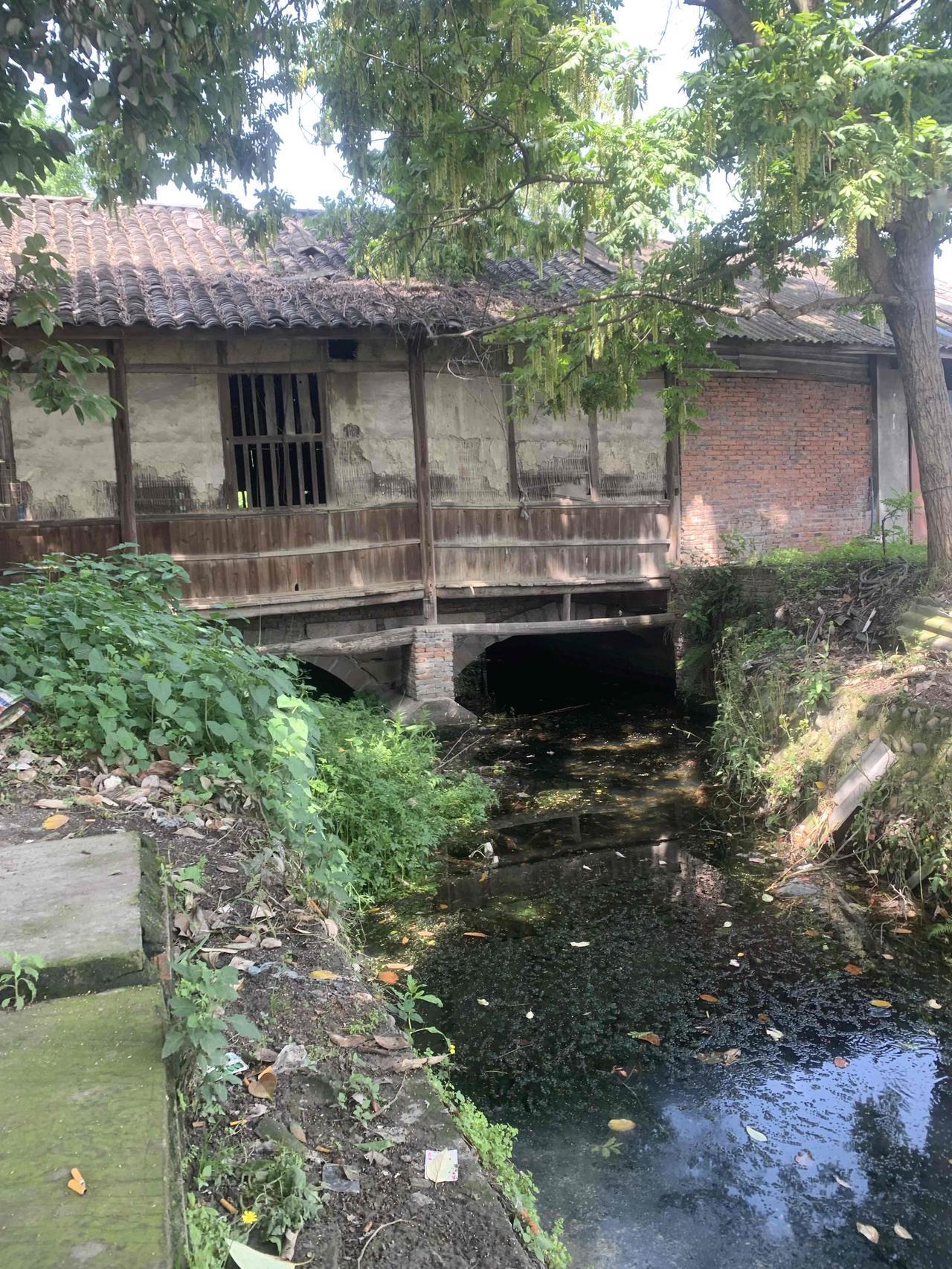 探成都新都区雷家桥张大爷老餐馆
   雷家桥张大爷老餐馆坐落在新都区雷桥三社公交
