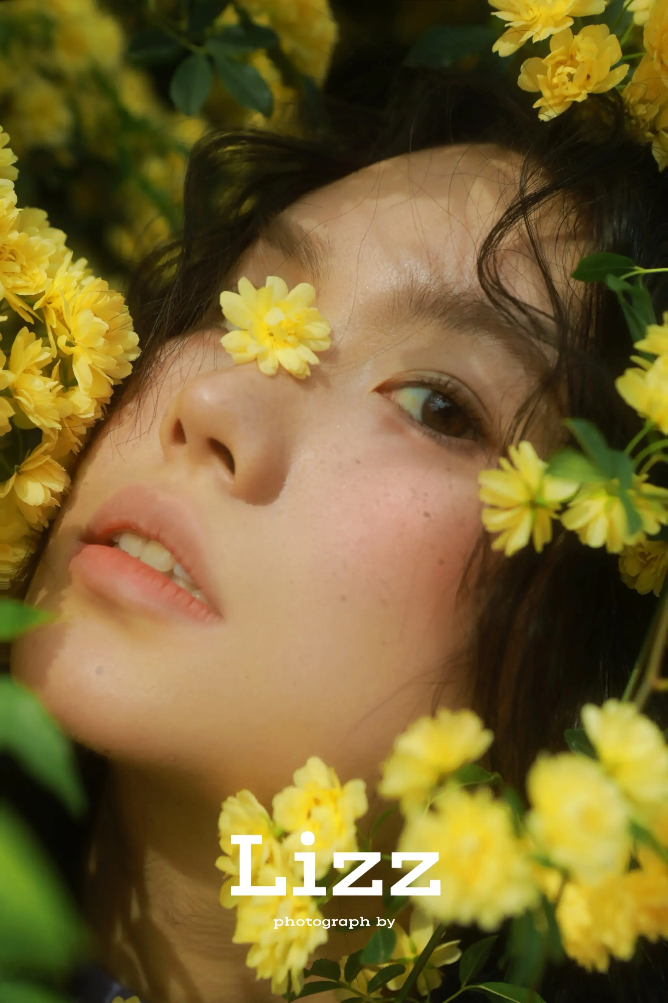 冷木香。