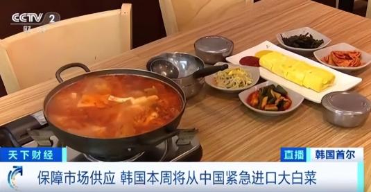 “中国要被我们拖垮了！”2024年，韩国上千人拒绝吃从中国进口的中国白菜，本想给