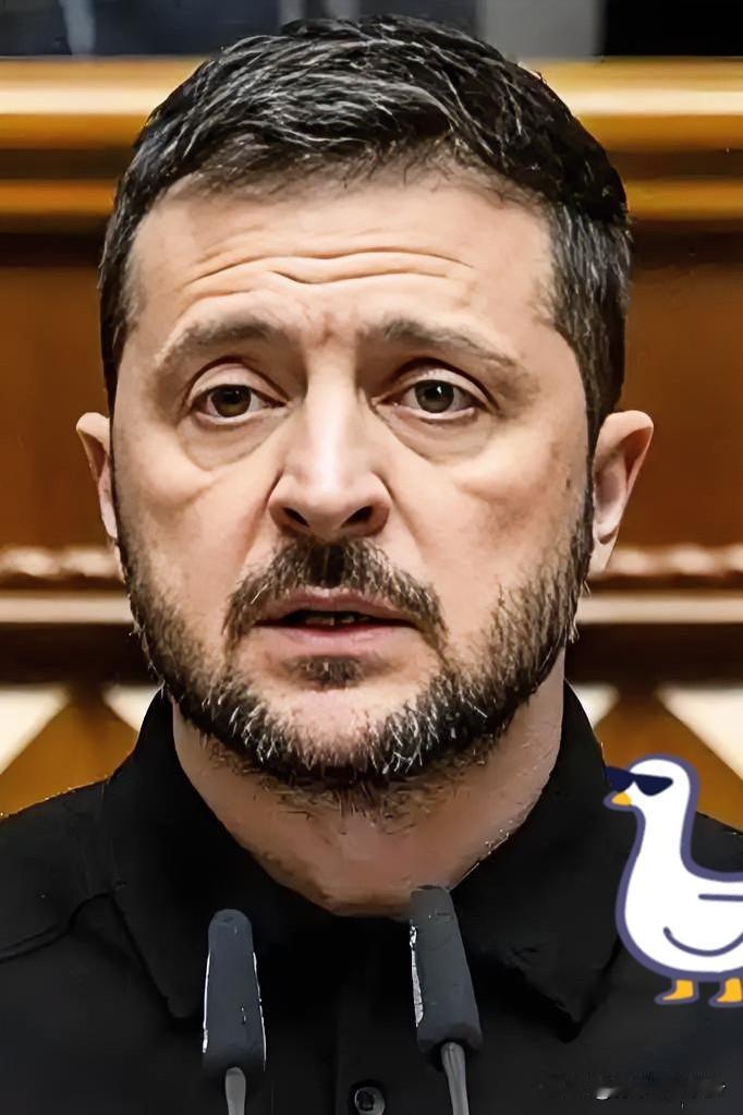 据央视新闻12月24日报道，
乌克兰方面曝出一个猛料。
过去一年，美国大手一挥，