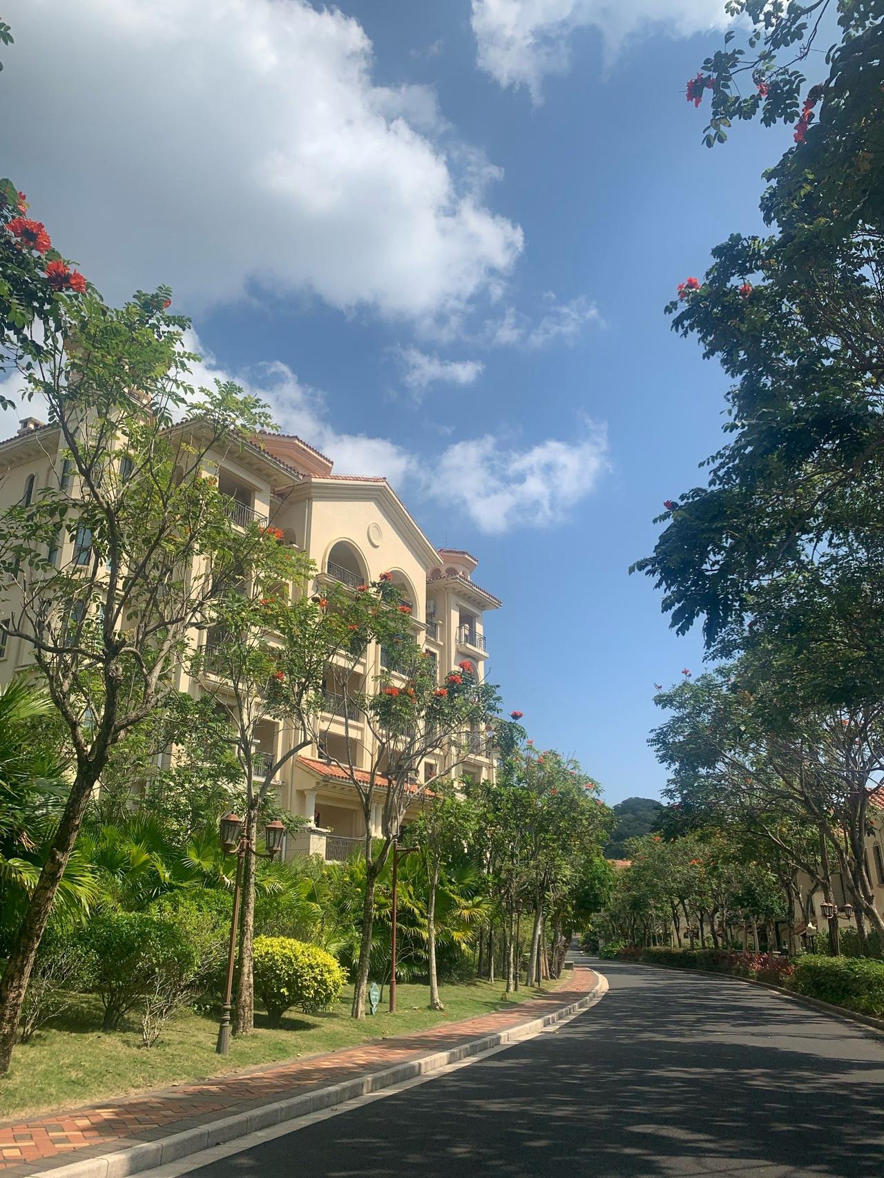 他透露了几个内部判断：

1. 真正的“猛涨”已经在政策出台前透支了。

“其实