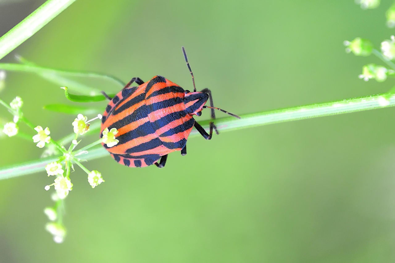 王腾发文吐槽自家SU7 Ultra的泊车辅助bug。8月4日晚，他配图显示车辆遥