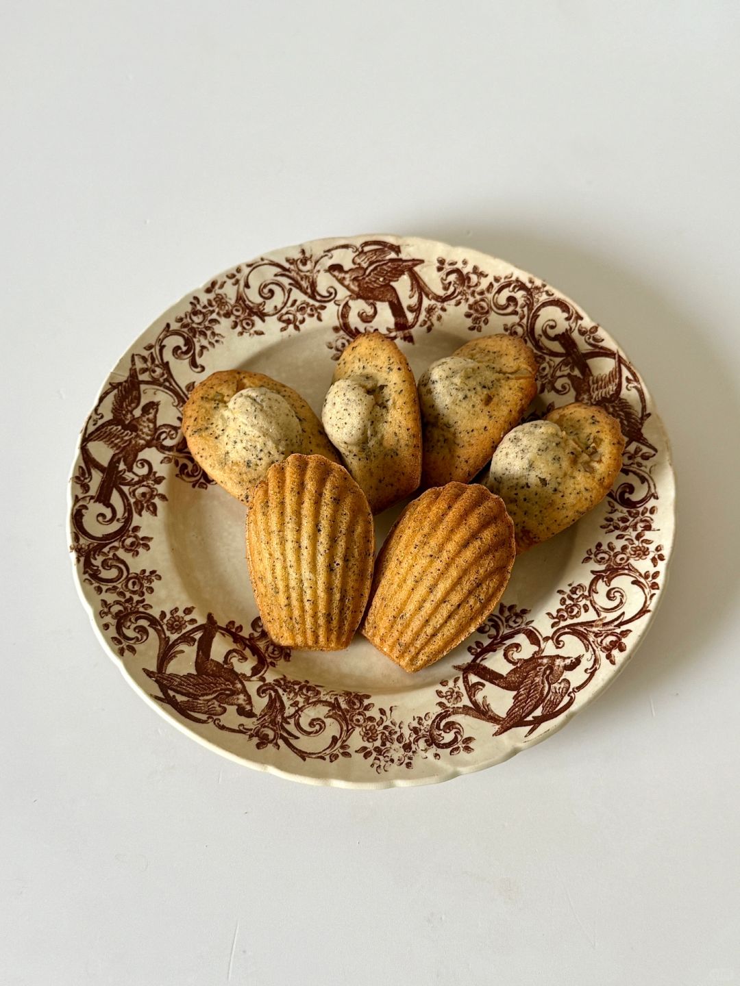 橙意伯爵茶玛德琳🍊