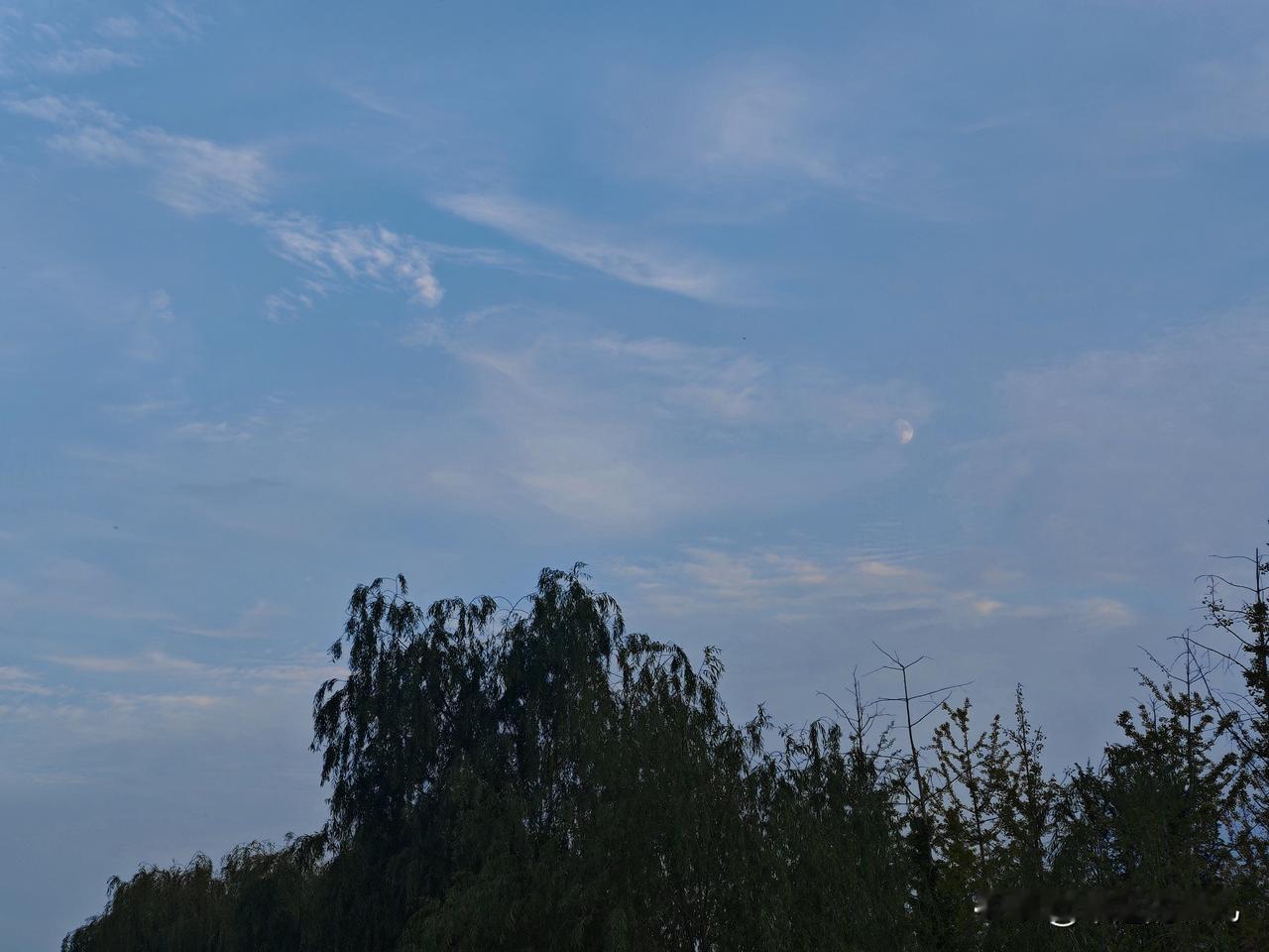 删了又写的消息，终究没发出去；说好要放下的人，夜里又翻来覆去想起。
明明劝自己别