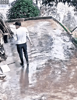 喂不熟的狗杀无赦，心慈手软留后患。