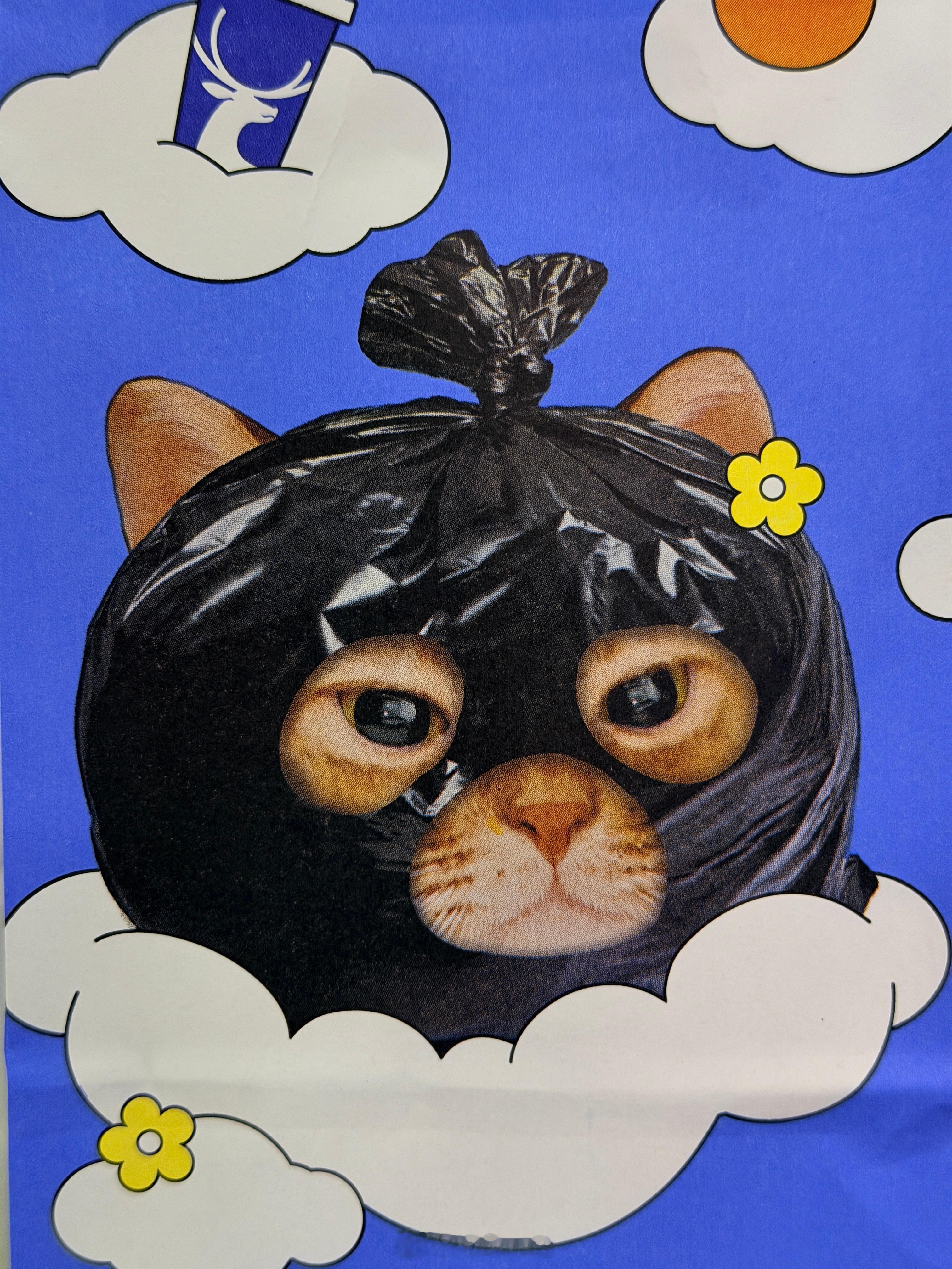 喝杯瑞幸，包装这只猫给这一天的心情开了个好头哈哈哈哈哈哈，橘座还是权威[笑而不语