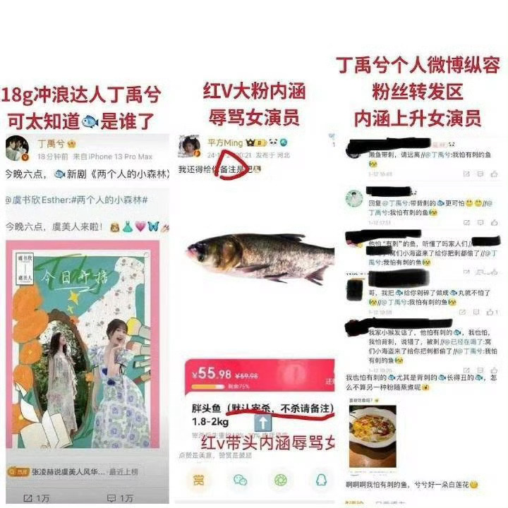 丁禹兮曾被鱼刺卡住过 粉丝顺着正主的回复在转发区骂无辜女演员是可以上四个洗白热搜