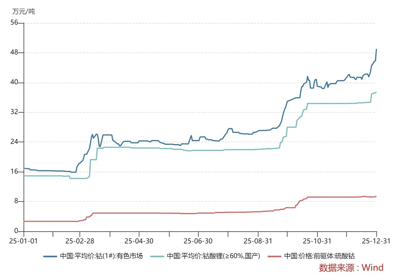 年底的钴奶奶和锂天王，涨得发疯了？

碳酸锂2025年底大涨不休，超过每吨15万