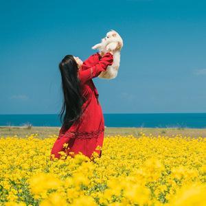 采卷耳踏遍繁花似锦