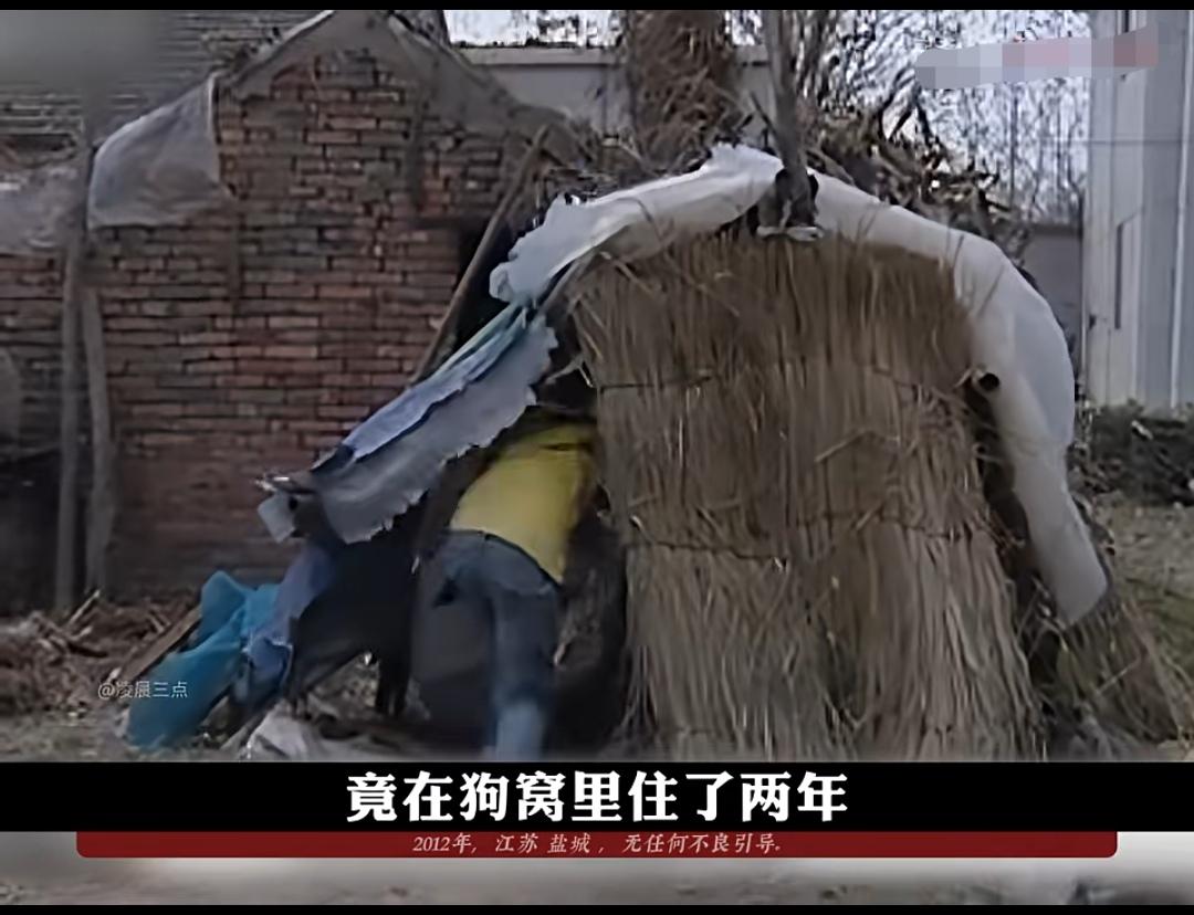 2012年，13岁男孩被三姑收养，拿不到他200多块每月都低保，就把他赶到狗窝里