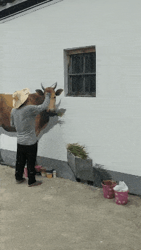 要不是看起来只有两条腿
和真的一样