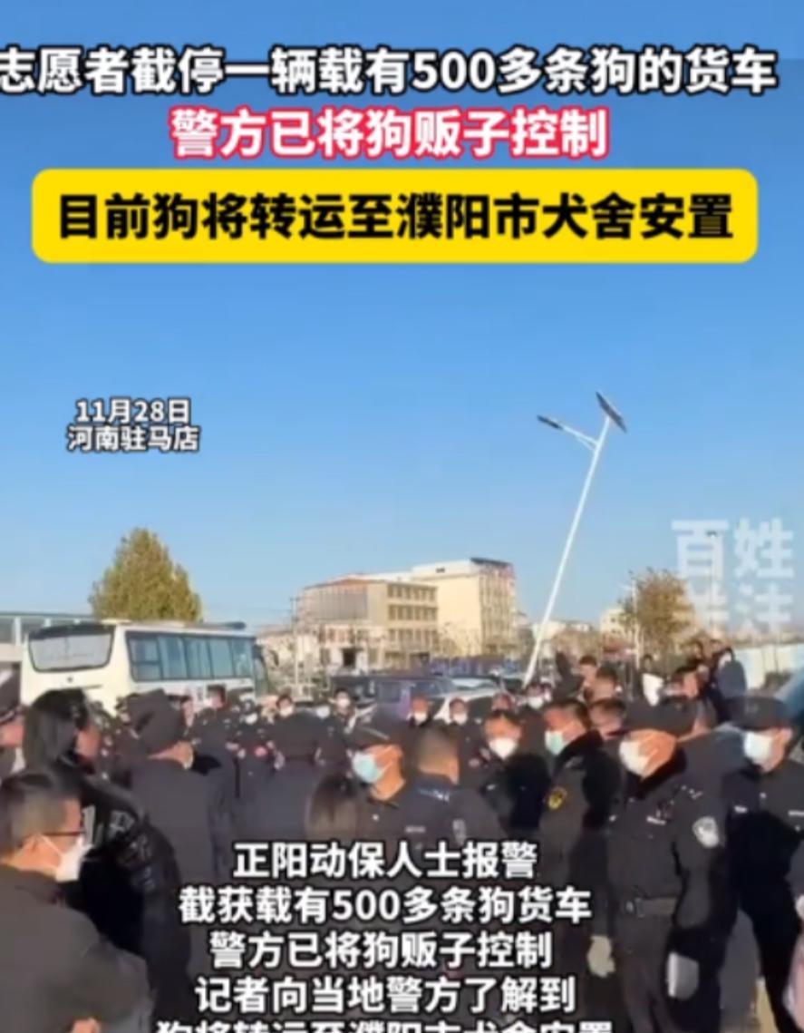 “严惩不贷！”11月28日，河南，志愿者截停一辆载有500多条狗的货车，警方已将
