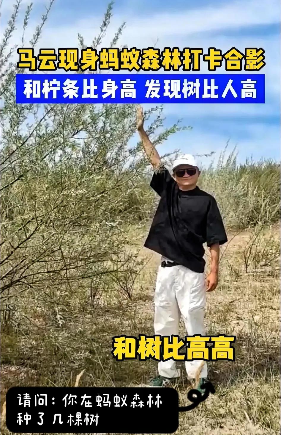 马云突然现身沙漠！
这回不是为了赚钱！
谁都没想到……
消失许久的马云竟然出现在