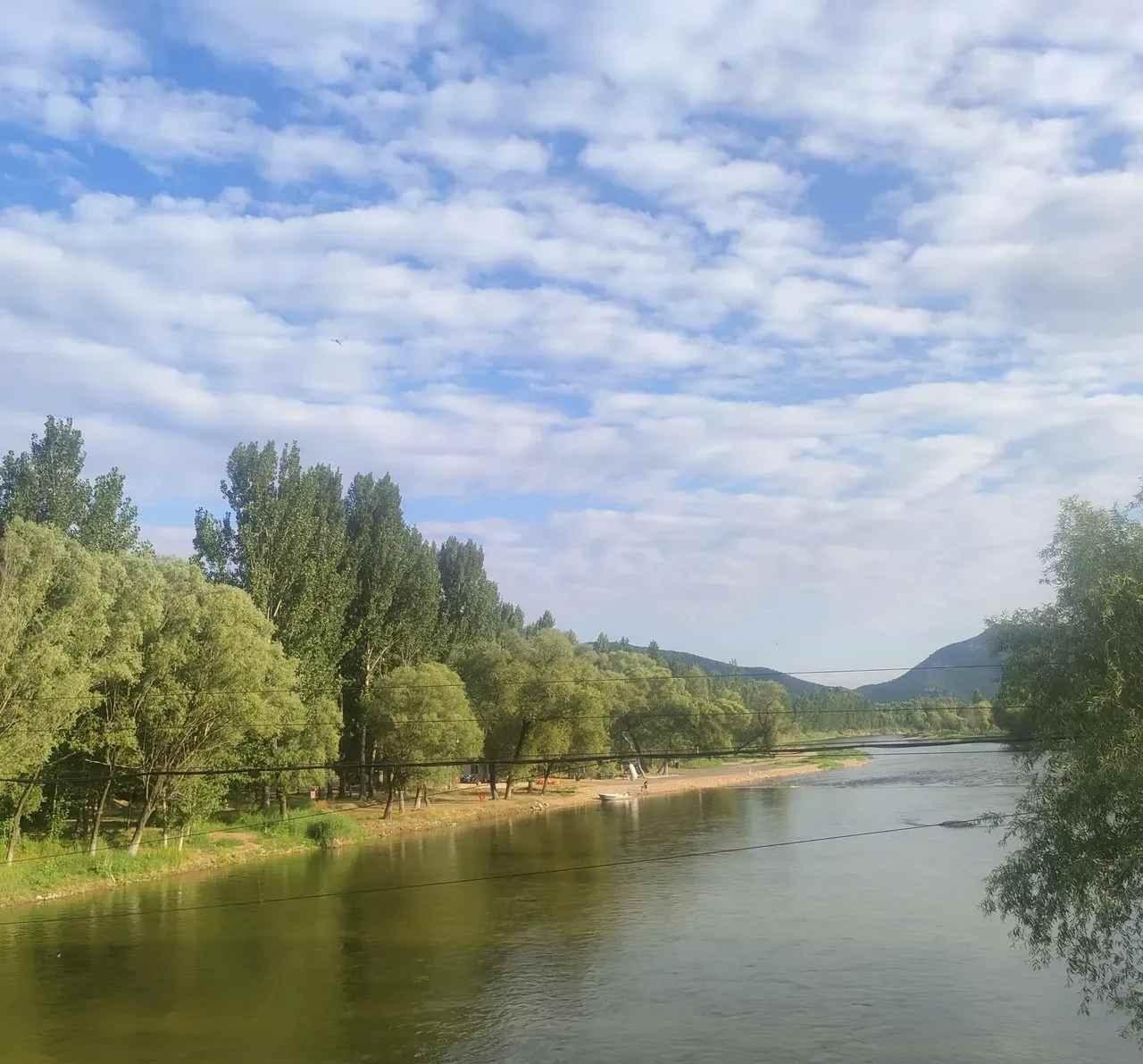 发现一个头条发文秘密！不看数据的创作者，流量反而追着跑？

昨天发了两篇文章，一