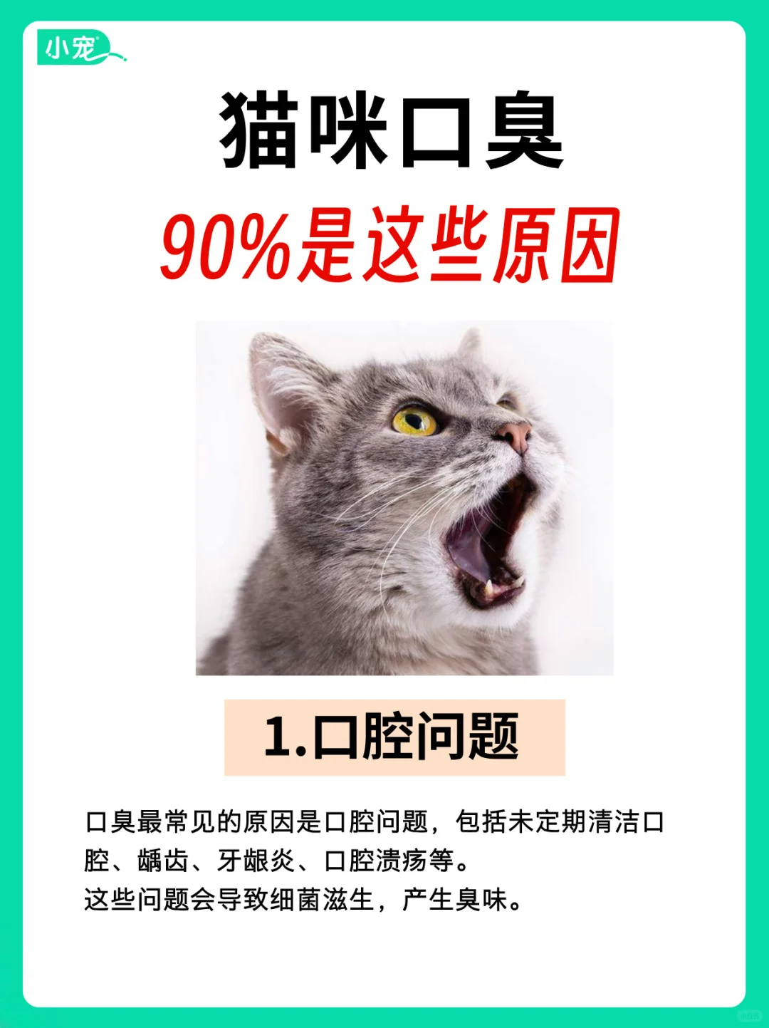 猫咪口臭的真相！90%的原因是这些