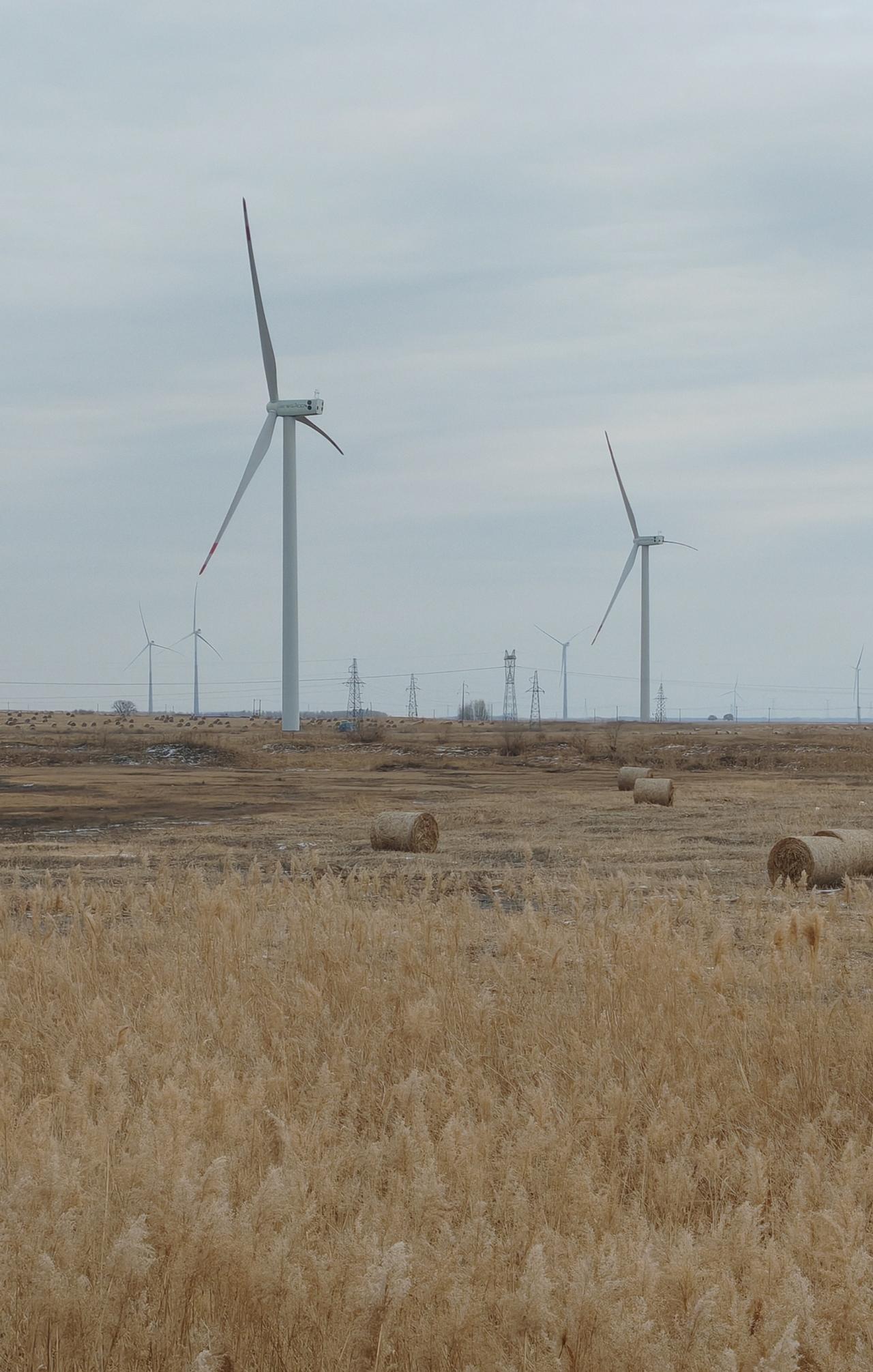 这周，总部周考核，报表审核特严格，不知道是总部要求的，还是上级自加码，一个表格中