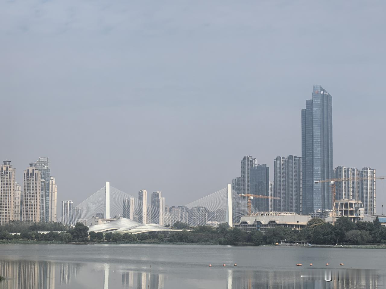 几乎每个月，我都要去一趟月湖公园。也说不上为什么，就是挺喜欢那儿。

坐地铁6号