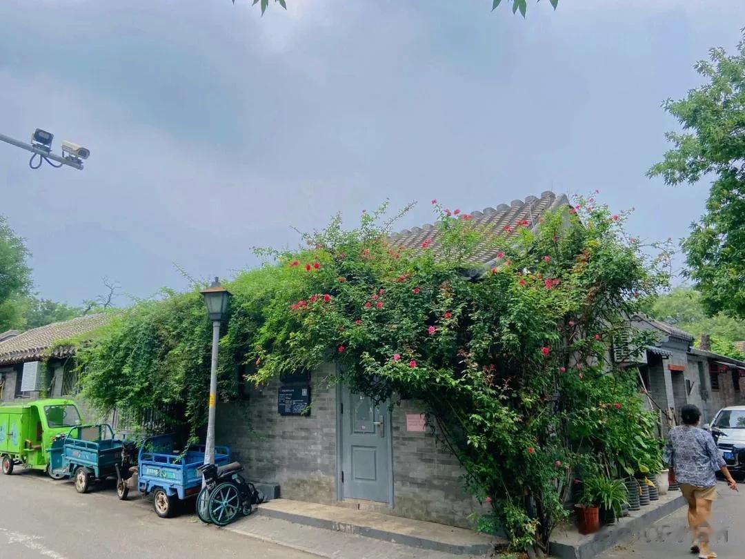 北锣鼓巷相对于南锣鼓巷人没有很多， 而且商业化也不严重，很适合散步。在晴朗的下午