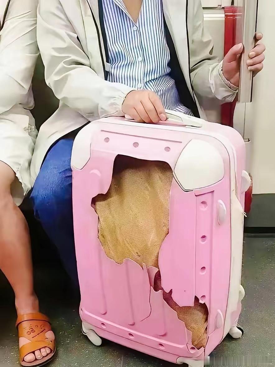 一开始还以为是箱子烂了，再瞅一眼，原来是眼瞎了！地铁上这破洞粉色行李箱，第一眼真