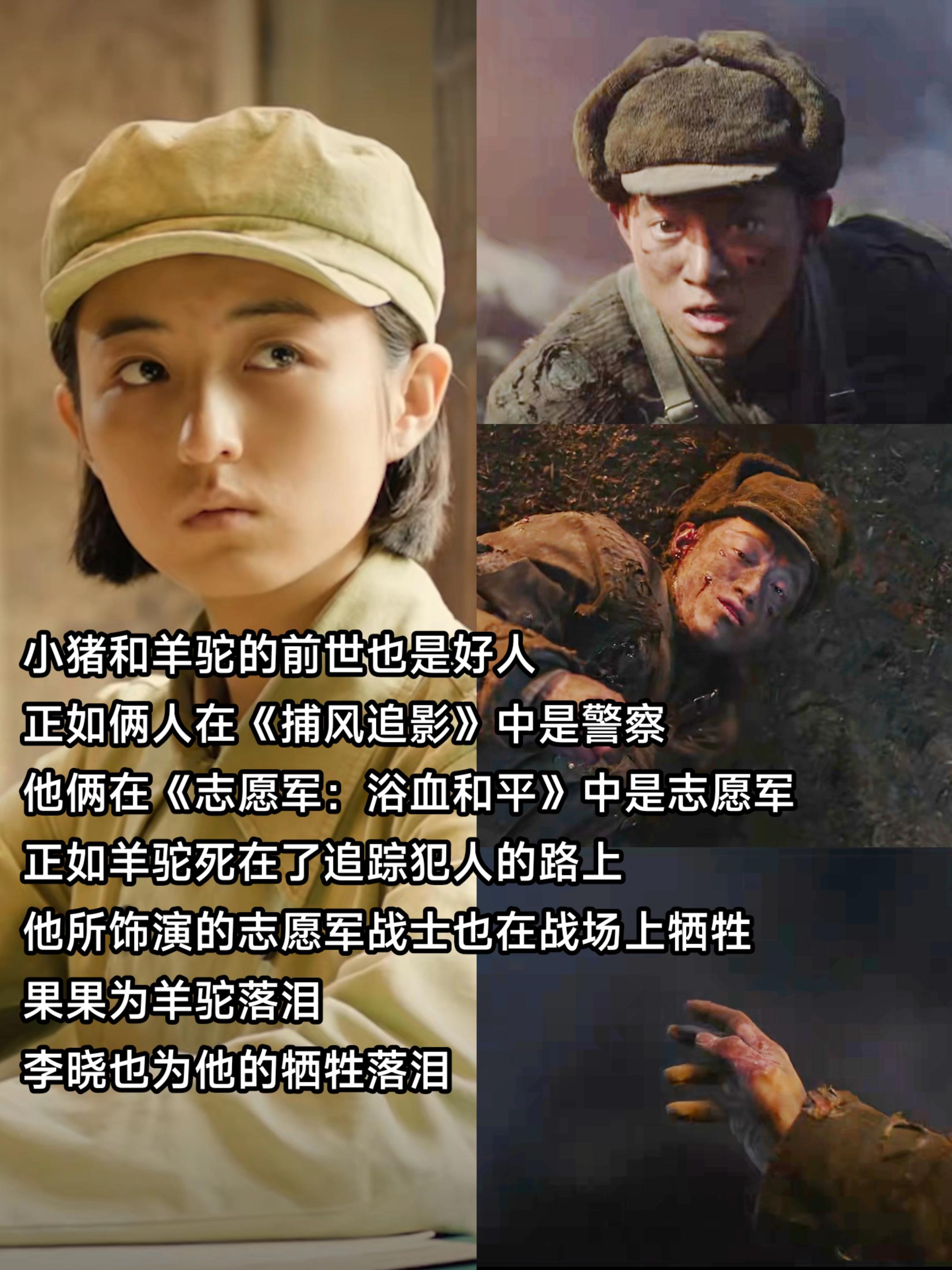 小猪和羊驼的前世也是好人。正如俩人在《捕风追影》中是警察 他俩在《志愿...