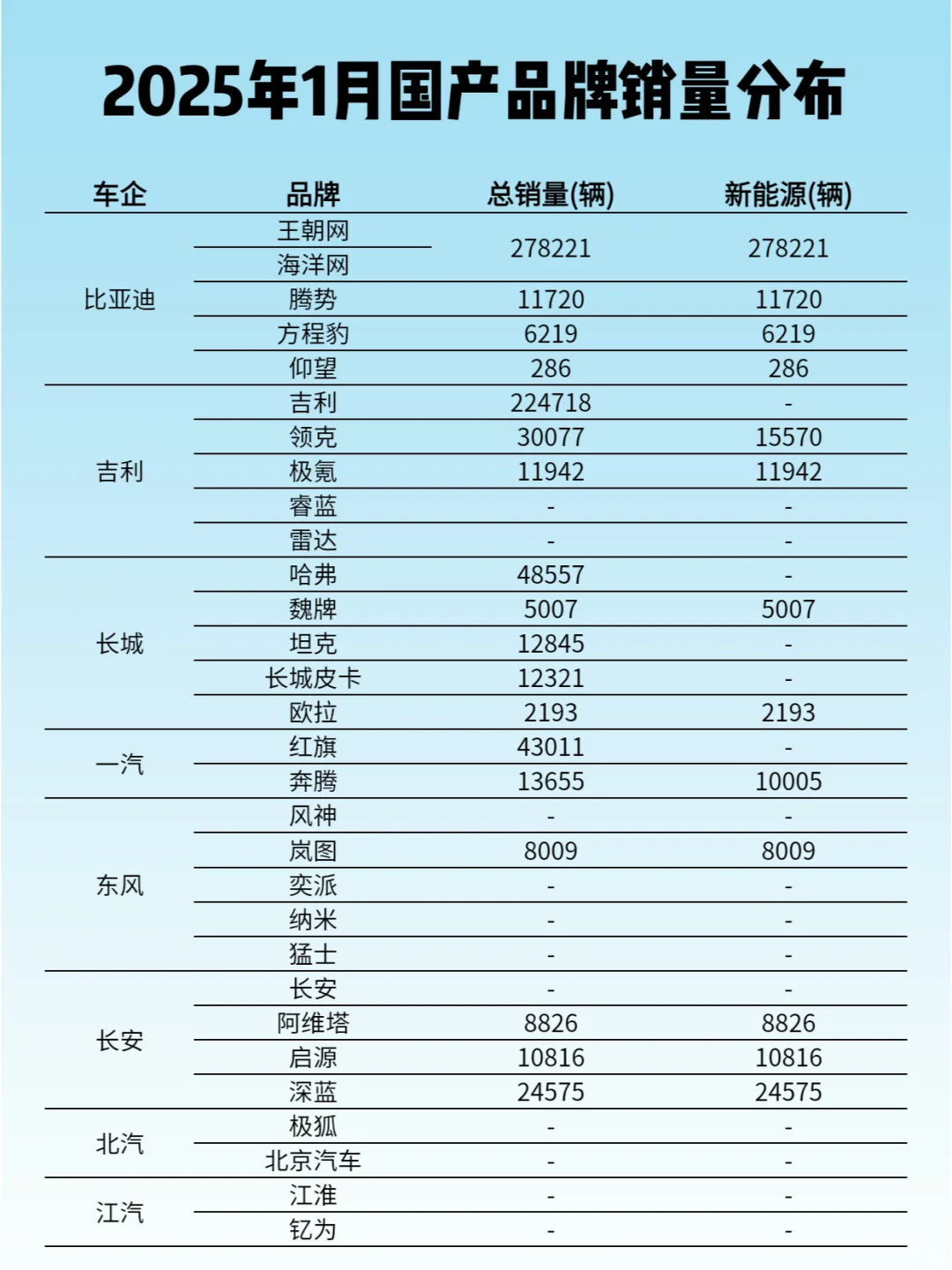 2025年1月国产品牌销量