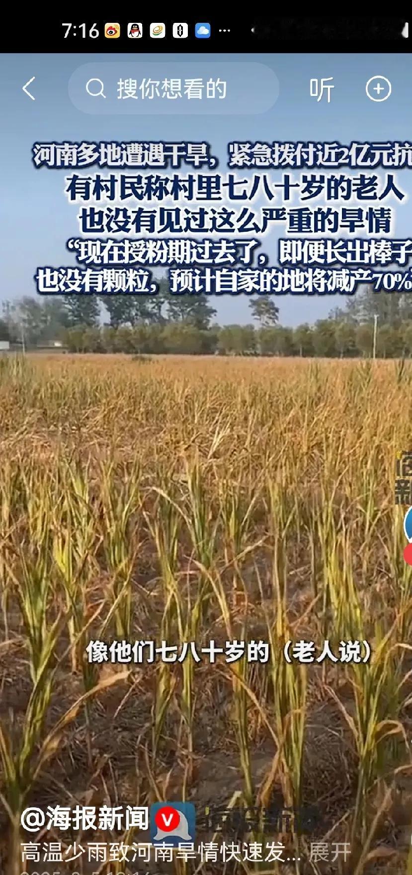 山东干旱太可怕了颗粒无收

今天中午到了丈母娘家，丈母娘闷闷不乐的说今天日照太干