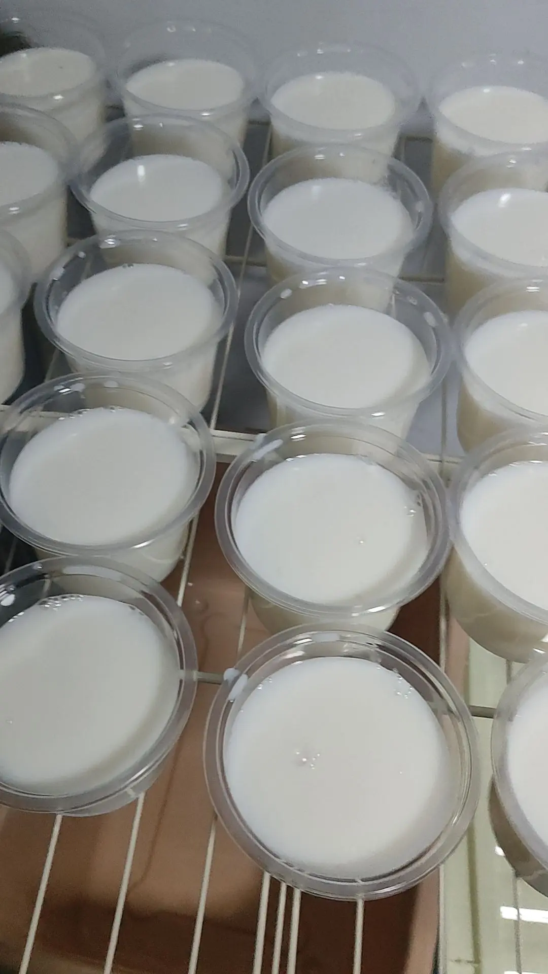 自制双皮奶 纯手工零添加 自制甜品 日常分享 冰凉一夏