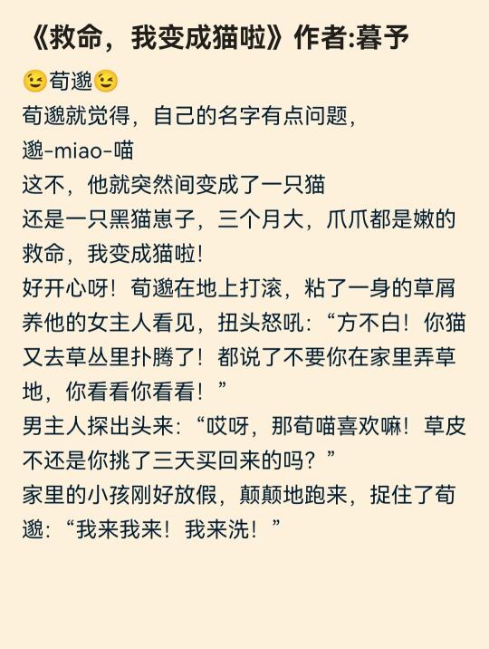 现言无CP治愈文推荐&猫猫就是坠棒哒！