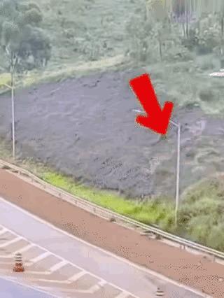 我怎么觉得，司机操作不太正常啊