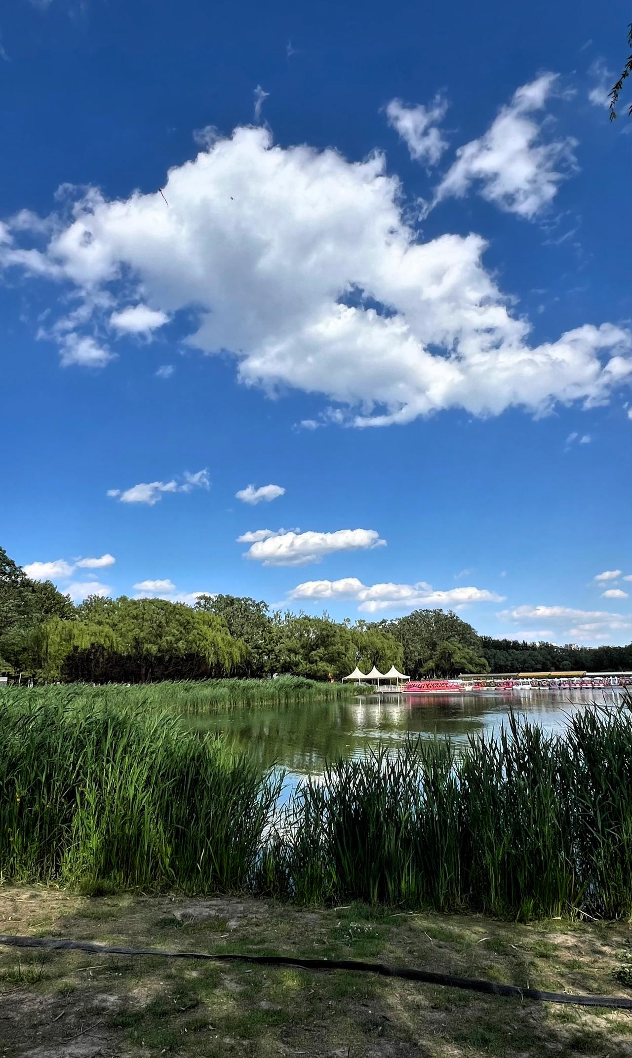 【原创】夏日里的北京朝阳公园，绿意盎然，生机勃勃，云卷云舒，风光无限，在这里静享