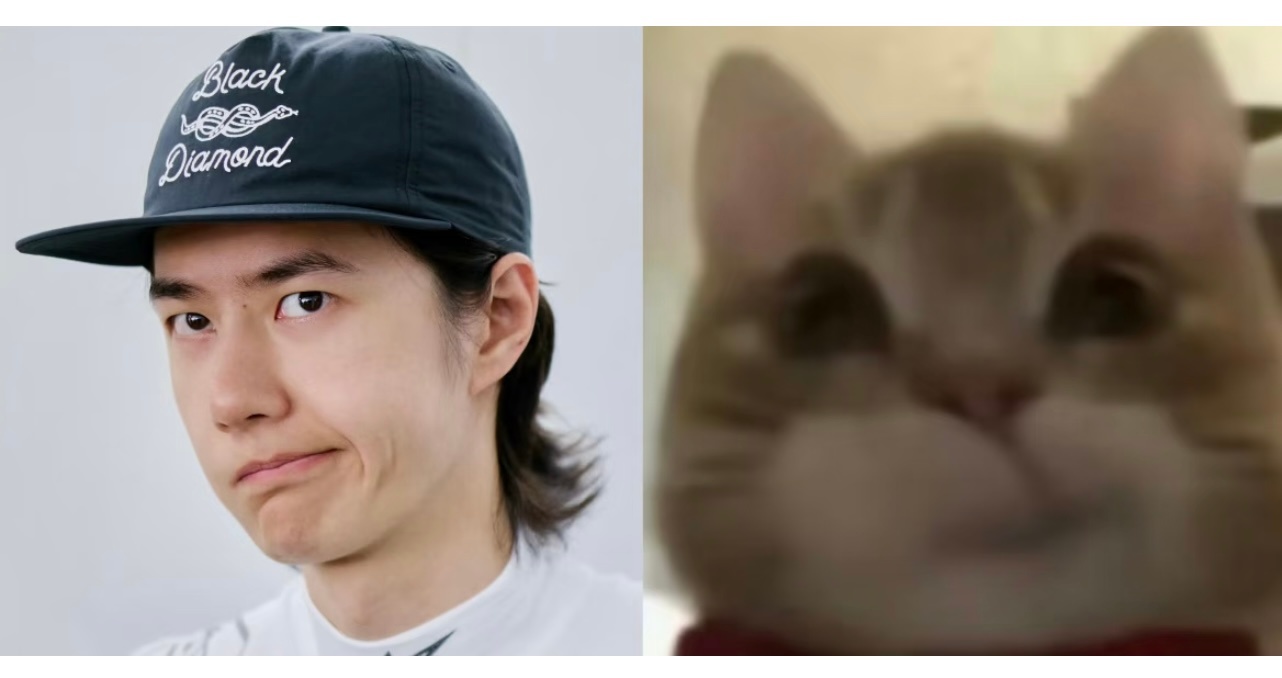 一模一样 