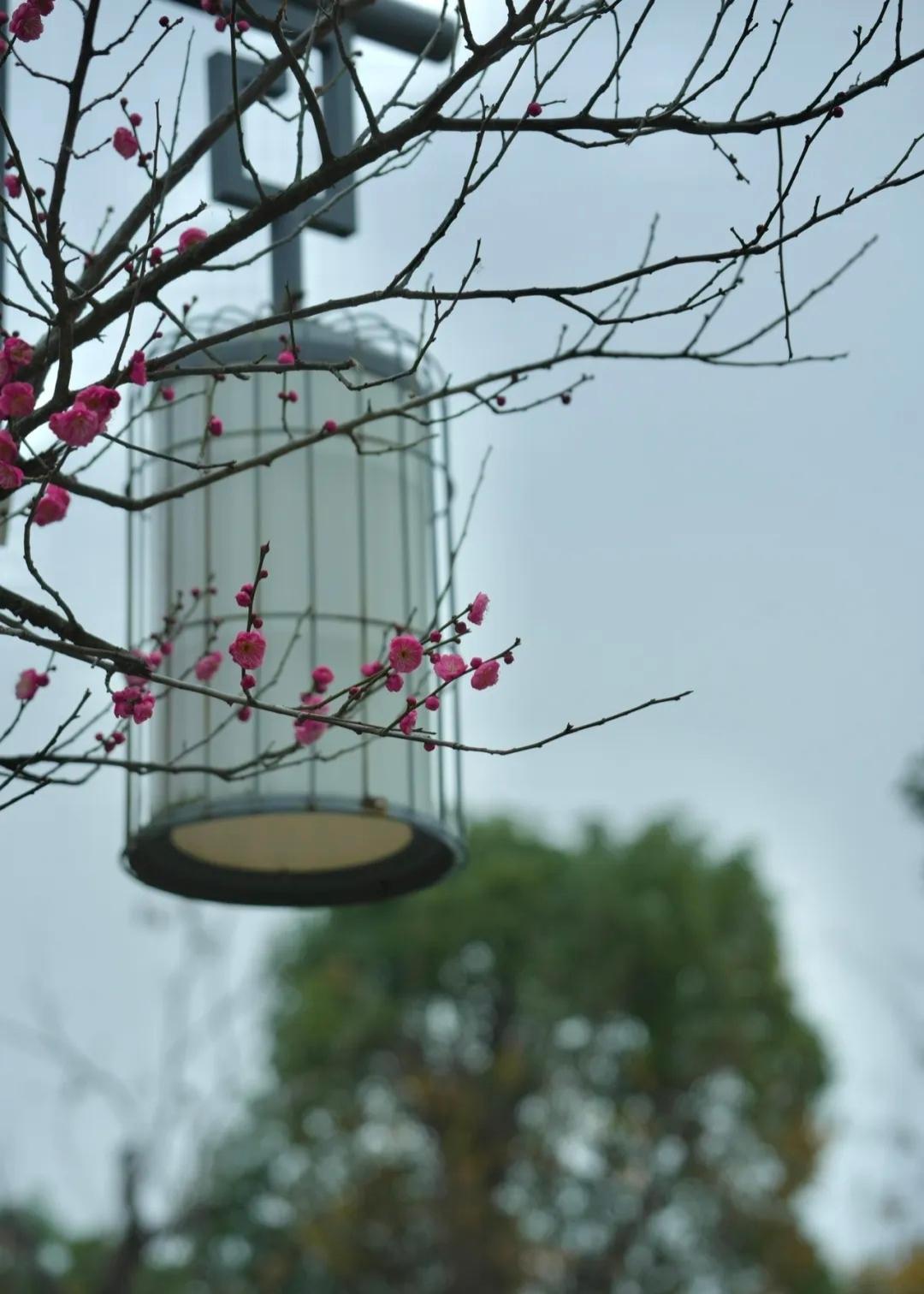 应该知道是哪里了吧？