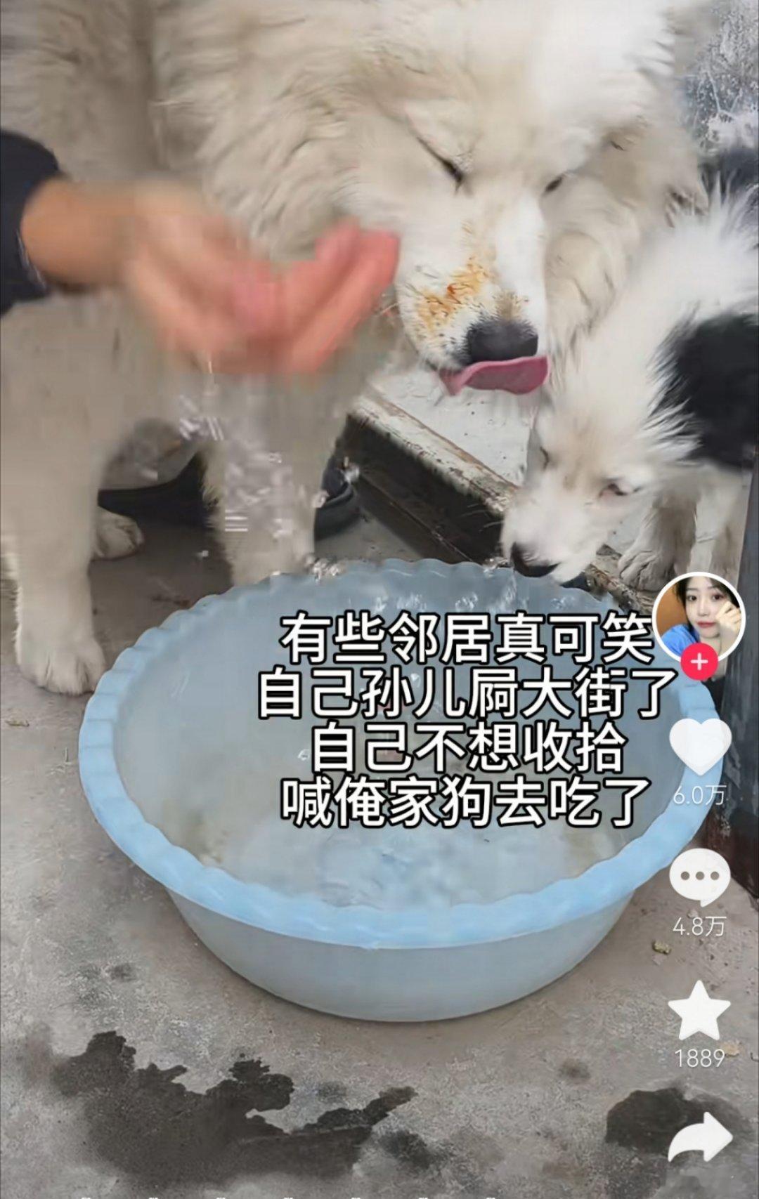 草啊啊啊啊啊啊谁来救救我我笑的快要撅过去了 
