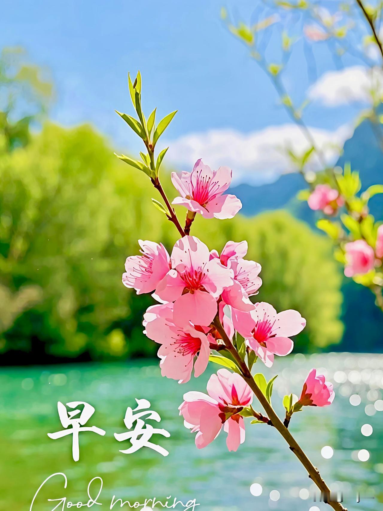 淡淡一句问候，盛满悠悠心意。
相逢皆是天意，相守尽是幸运。
祈愿岁月安然，余生无