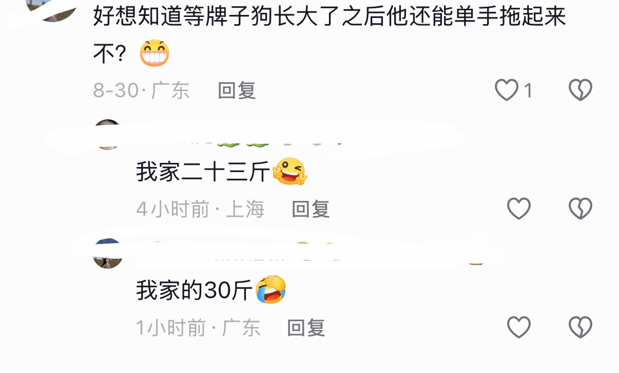 笑得我好奇以后啤啤会多圆润bushi[柯基][柯基][柯基] 这就是法斗的风评嘛