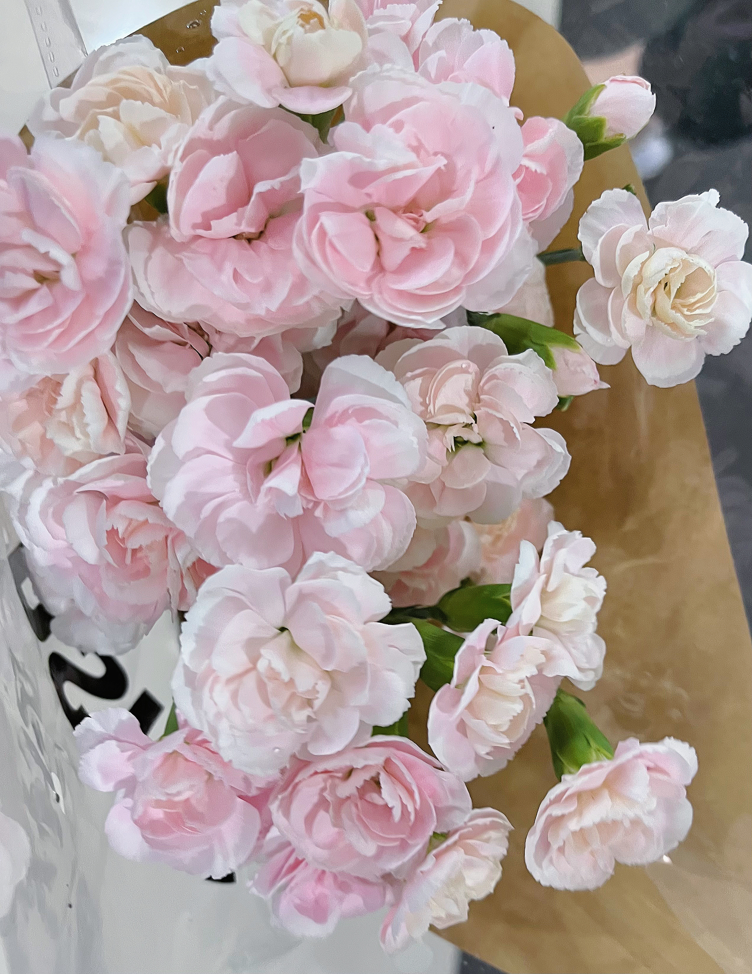 🖇·春雾湿青·🍏 