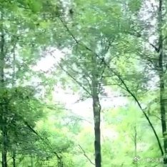 阳光信用 每日一善 心灵善良，生活幸福而温暖，心灵坚强，人生烂漫而多姿，让心灵在
