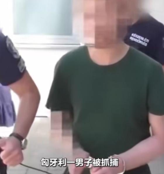 匈牙利，一个在医院上班的普通勤杂工，靠着工作便利偷偷囤积大量人  体   器  