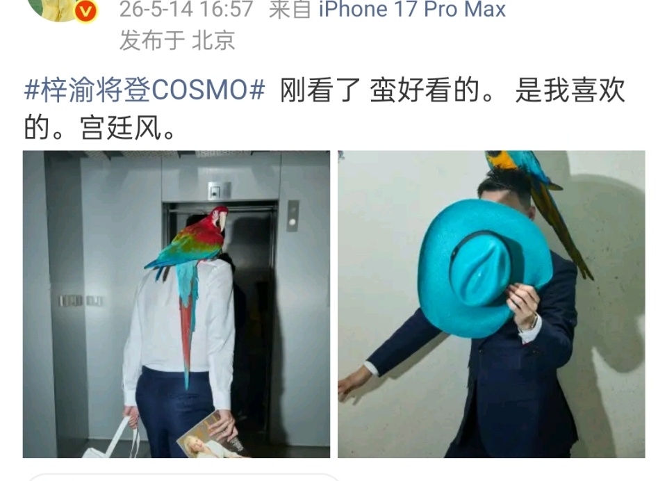 梓渝首本五大女刊时尚博主预告梓渝新杂志封面了将登《时尚COSMO》！宫廷风大片！