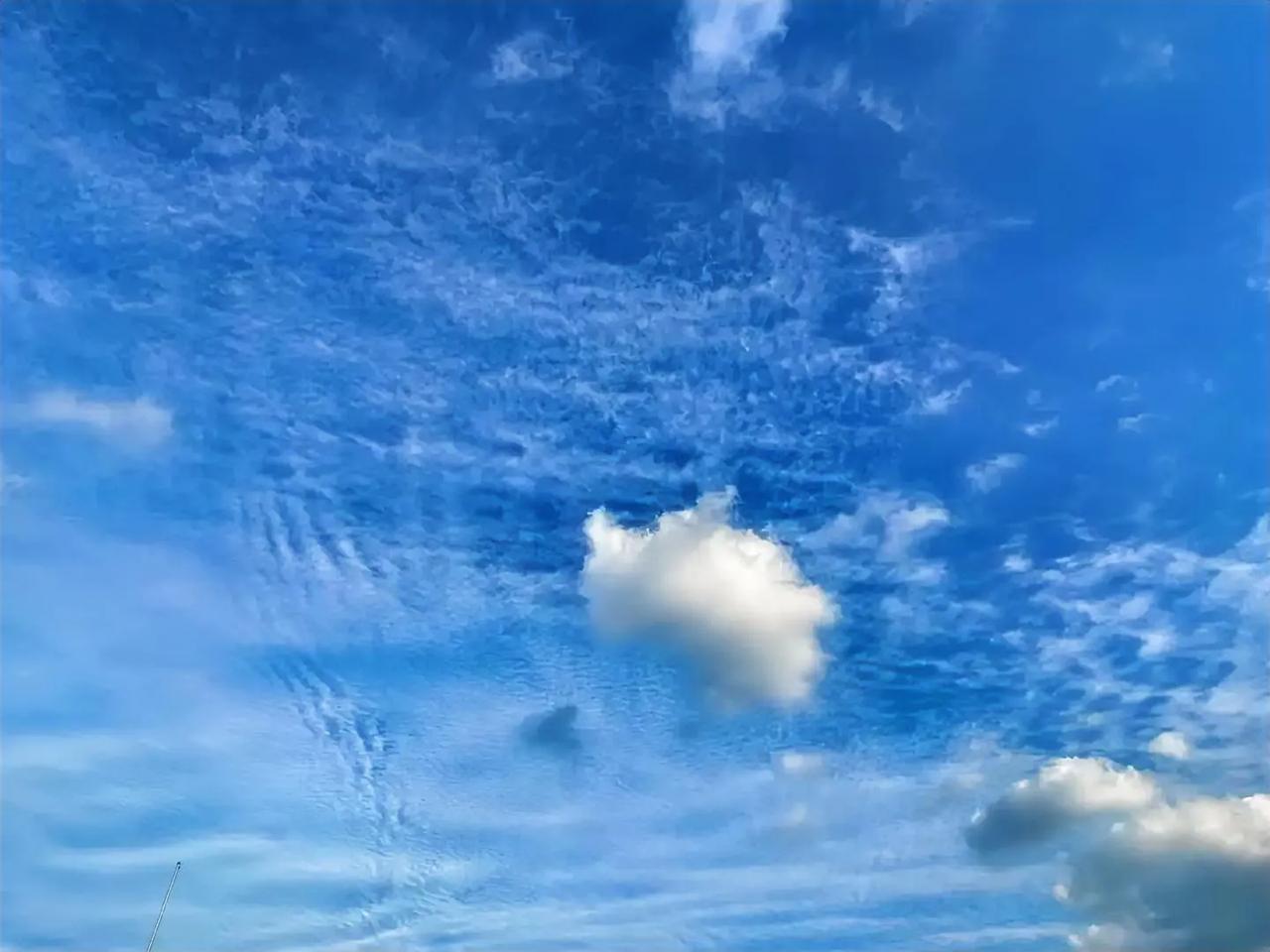 伊朗至少14名核物理科学家被以色列暗杀。我们看到的报道不是有多少民众在谴责的抗议