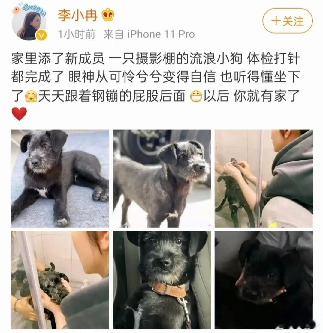 五哈6宠物特辑哈哈哈哈哈终于等到宠物特辑！陈乔恩的福酱圆滚滚的也太可爱了吧，高瀚