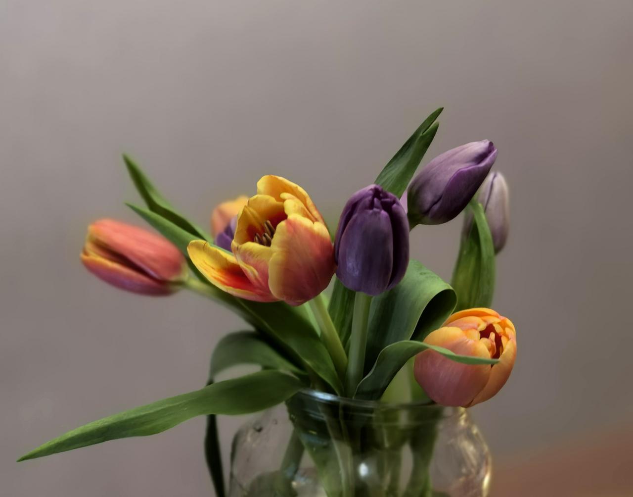 【热评】“银行直供房”热销，合法性是底线
低价“银行直供房”激增

 
近期，所